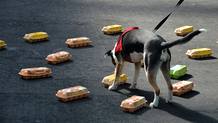 Motivácia v noseworku