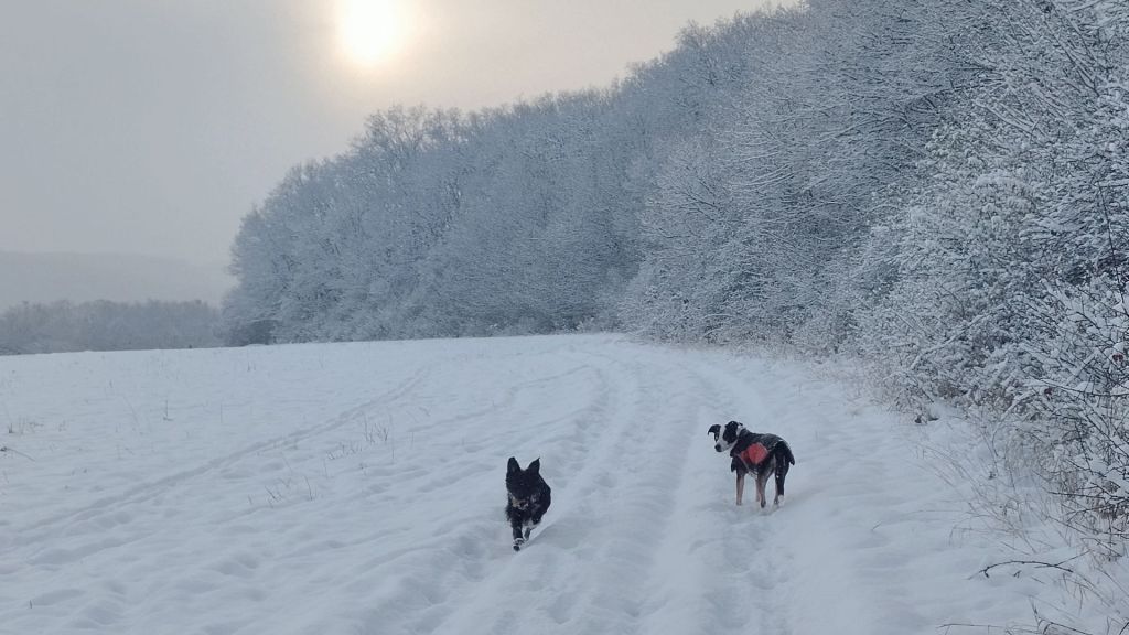 Ako si nepokaziť&nbsp;Vianoce