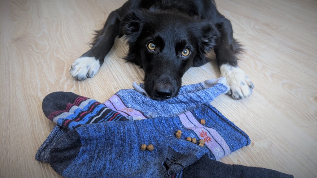 Dajte starým ponožkám druhý&nbsp;život